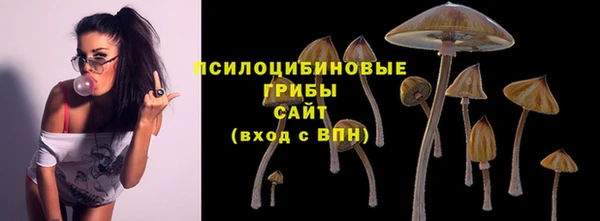 мескалин Верхний Тагил