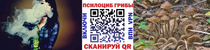 Псилоцибиновые грибы Cubensis  blacksprut ссылки  это телеграм  Серов 